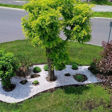 4-1/2 situé au 1er étage, clientèle 50 ans et plus - Photo 3