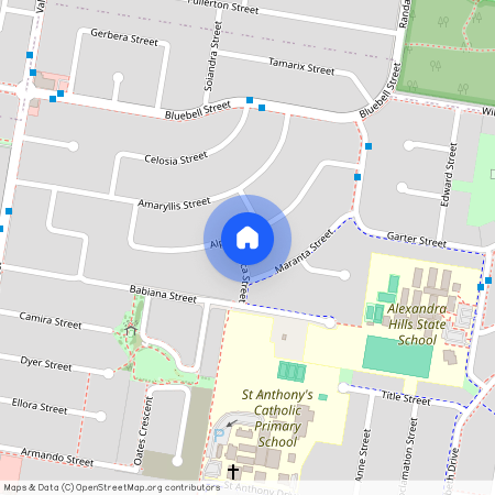 33 Alpinia St, Qld 4161, Alexandra Hills