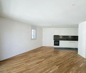 FOR RENT NEW APARTMENT 1815 CLARENS/MONTREUX - Photo 2