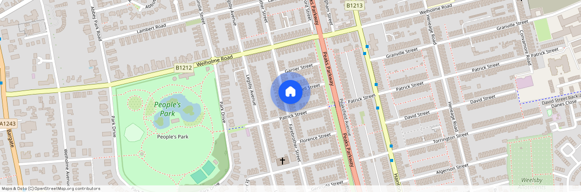 65 Farebrother Street, Grimsby, DN32