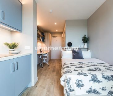 1 Bedroom, 1 Bathroom - Photo 3