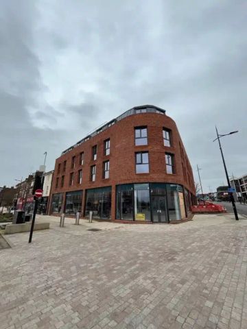 Deluxe Plus Studio - Photo 4