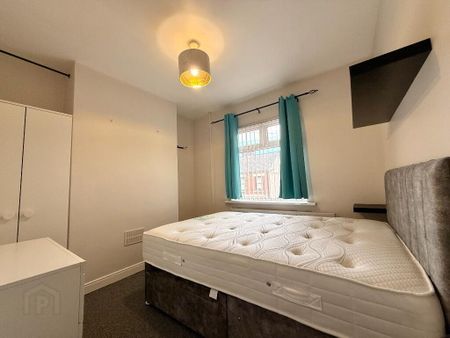 22 Windsor Drive, Belfast, BT9 7FH - Photo 3