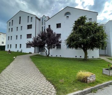 4.5 Zimmer, 154 m², 2. Stock - Foto 5