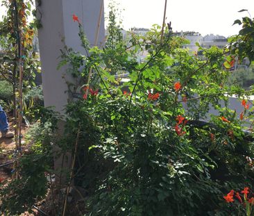 Μεζονέτα για ενοικίαση Κάτω Γλυφάδα (Γλυφάδα) - Photo 5