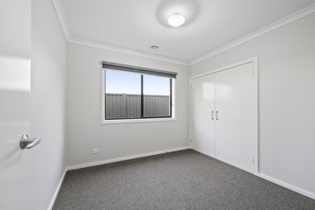 LOW MAINTENANCE LIVING IN THE HEART OF LUCAS - Photo 3