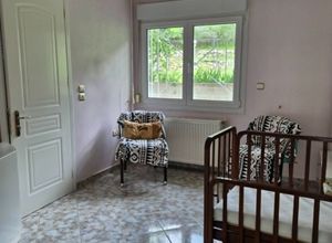 Μονοκατοικία για ενοικίαση - Ξάνθη, - Φωτογραφία 2