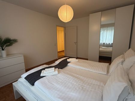 Charming 2-Room Furnished Apartment Near Basel University - Photo 4