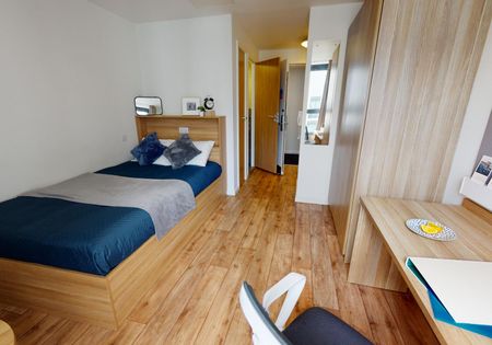 Bronze Studio Plus - Photo 5