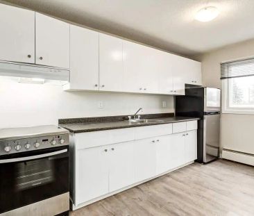 - 1 Bedroom at Emerald Vista - Photo 6