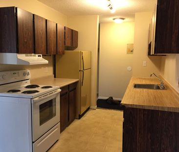 Spacious 1 Bedroom TOP FLOOR Suite in Downtown Red Deer - Photo 3
