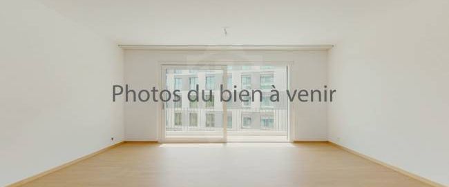 Petit Appartement - Genève - Foto 1