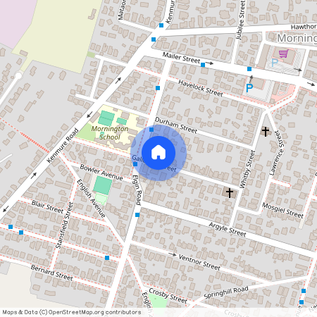 34 Galloway Street, Mornington, Dunedin