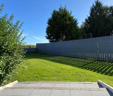 49 Armagh Road, Portadown, BT62 3DL - Photo 4