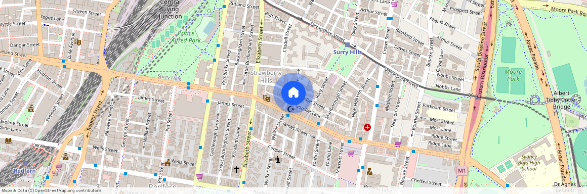 114 Wilton Street, NSW 2010, Surry Hills