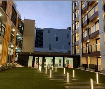 Near New One Bedroom Apartment in Central City - Photo 3