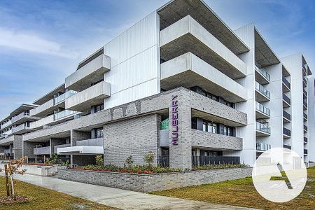 G1/63 Dooring St, Dickson ACT 2602 - Apartment For Rent | Domain - Photo 3