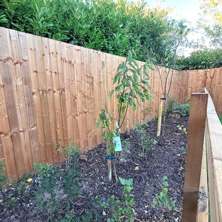 2 bedroom semi-detached house to rent - Photo 1