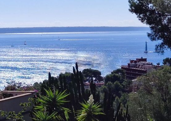 Luxury Villa for long term rental in costa den blanes