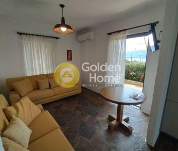 Διαμέρισμα για ενοικίαση Θεολόγος (Μαλεσίνα) - Φωτογραφία 2