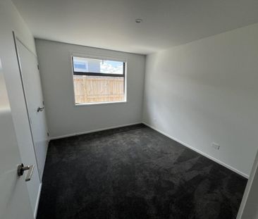 Brand new 3 bedroom in Vogeltown - Photo 6