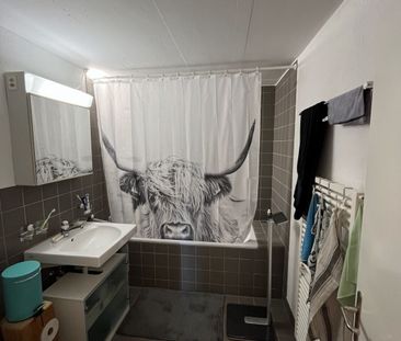 APPARTEMENT DE 2 PIÈCES À EGLISAU (ZH), MEUBLÉ, TEMPORAIRE - Foto 5