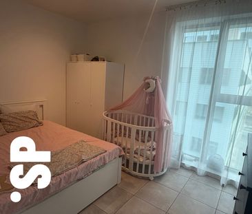 Appartement te huur in Antwerpen met 1 slaapkamer - foto 2