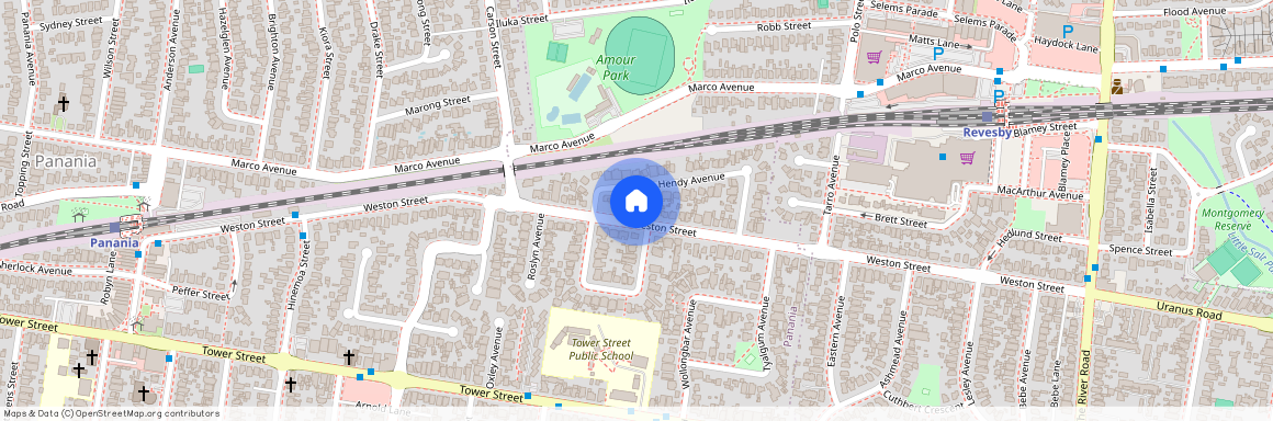 86 Weston Street, NSW 2213, Panania