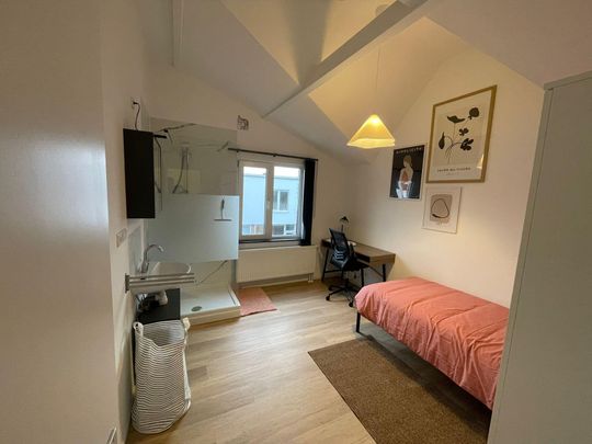 Te huur: Kamer Haspengouw in Maastricht - Foto 1