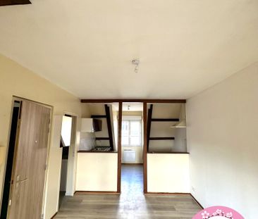 Location Appartement 1 pièce 25m² SULLY SUR LOIRE 45600 - Photo 3