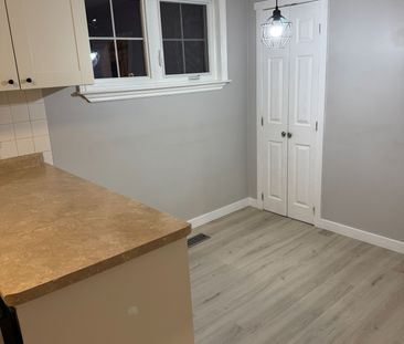 For Lease - 257 Silverbirch Drive Unit# Main, Newmarket, Ontario - Photo 4