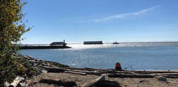 Steveston Junior 2 bedroom Ocean, Sunset, $500 deposit OPEN 5-7pm - Photo 2