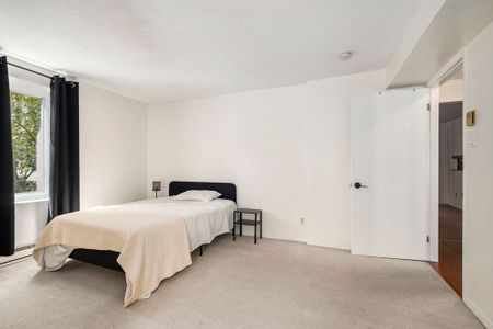 For Lease - 244 Charlotte Street Unit# 3, Lower Town - Sandy Hill, Ontario - Photo 2