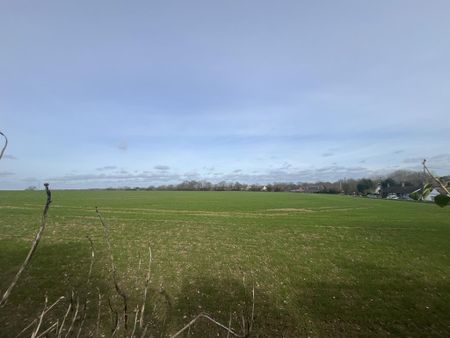 3 bedroom bungalow to rent - Photo 4