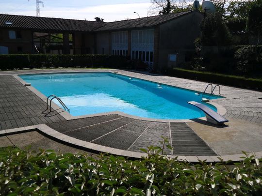 Location Appartement 1 pièce 20m² RAMONVILLE ST AGNE 31520 - Photo 1