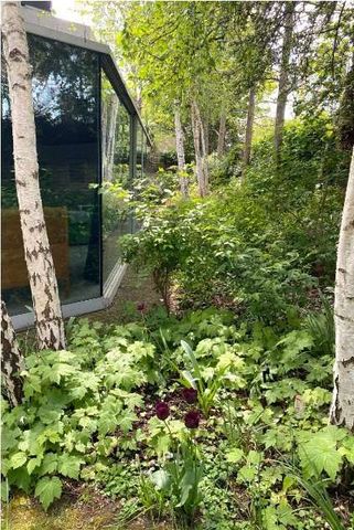 An unique opportunity to live in an architecturally designed house in Belsize Park. - Photo 4