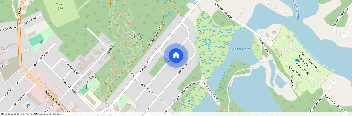 577 Rue des Érables, Saint-Donat, Saint-Donat, Lanaudière, J0T 2C0