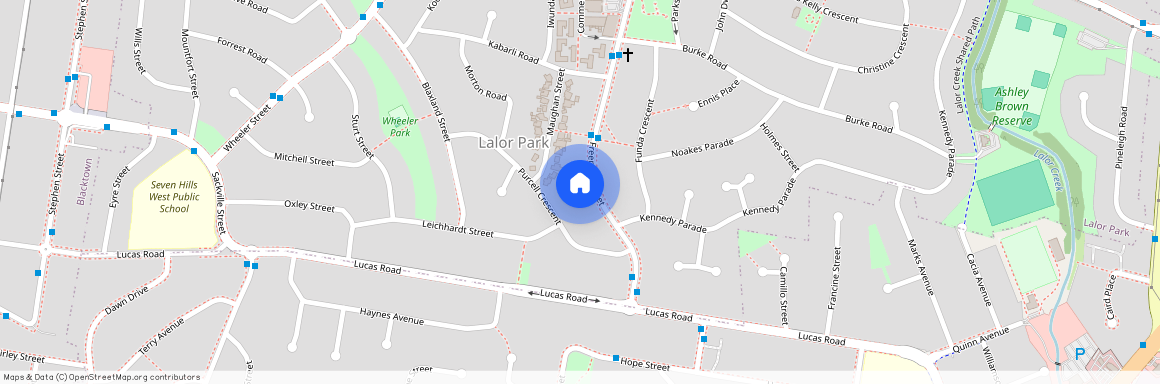 110 Freeman Street, Lalor Park NSW 2147