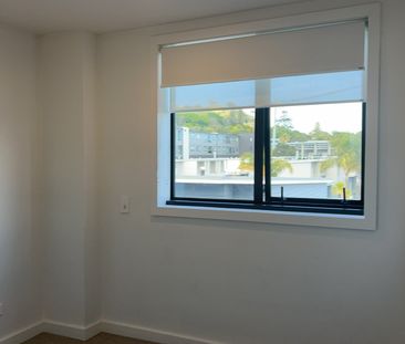 Elevation, Location, Sophistication - Mt Eden - Photo 3