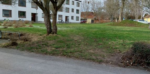 Ekbacken, Asarum - Photo 2