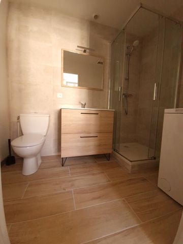 Location Appartement 1 pièce 20m² - Photo 5
