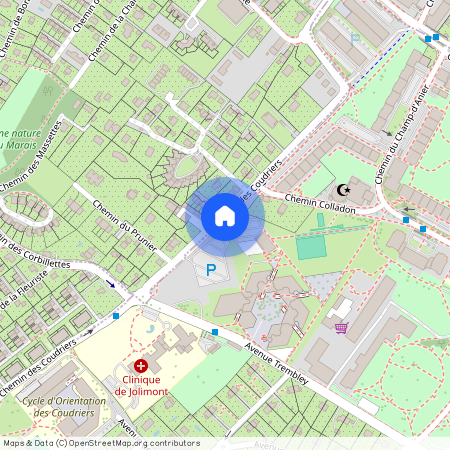 Chemin des Coudriers, Genf