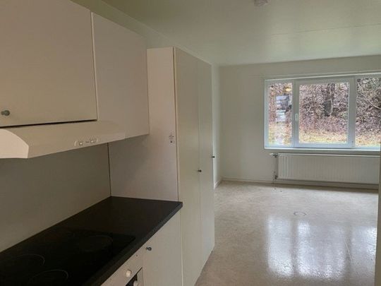 Karlstorpsvägen, Trollhättan - Foto 1