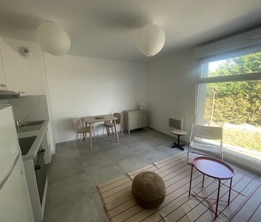 1 pièce - Meublé - 26,83 m² - RDC - Colocation non autorisée - Photo 2