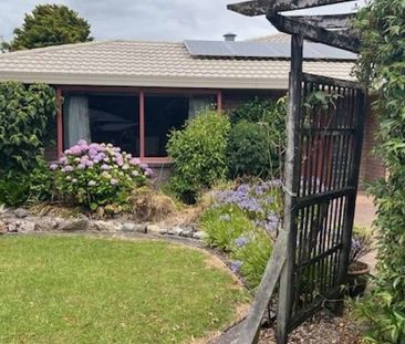 Executive Living in Waihi - Photo 3