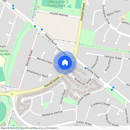 23 Mentha Place, NSW 2564, Macquarie Fields