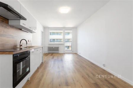 Pronájem bytu 2+1 po kompletní rekonstrukci, ul. Brněnská, Most – 11. patro, volný od 1. 7. - Fotografie 3
