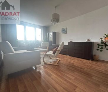 3 pokojowe mieszkanie do wynajęcia od zaraz - Photo 3