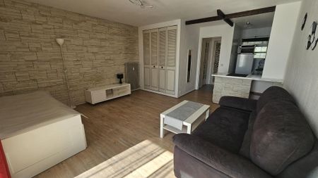 Location Appartement 1 pièce 30m² ST LAURENT DU VAR 06700 - Photo 3