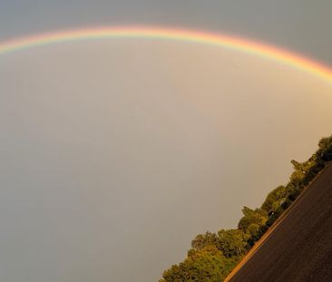 Ich suche eine 3 Zimmer Wohnung - Foto 1